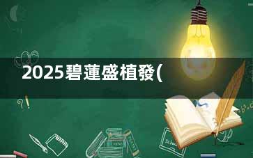 2025碧蓮盛植發(fā)價格一覽表注意查收！普通植發(fā)10元/毛囊，不剃發(fā)技術60元/毛囊，多種技術可選！